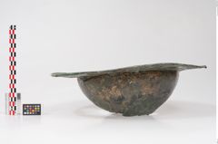 Foto von Bronzebreitrandschale (NHMW-PRAE-024520)